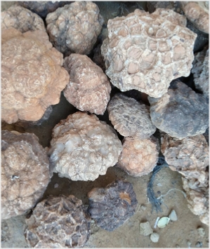 Selenite Minerals Moroccco