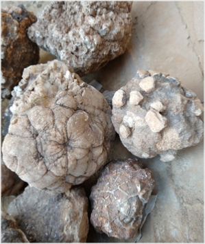 Unique Selenite Minerals From Moroccco
