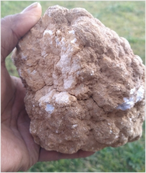 Quartz Geodes For Sale from Morocco